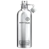 Montale Mango Manga EDP 100 ml (Testeris)