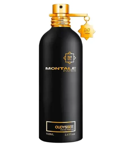 Montale Oudyssee EDP 100 ml