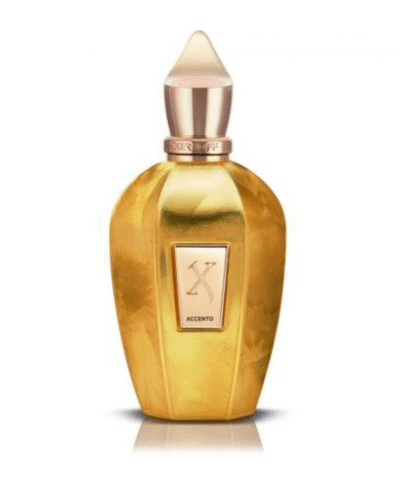 Xerjoff Accento Overdose EDP 100 ml