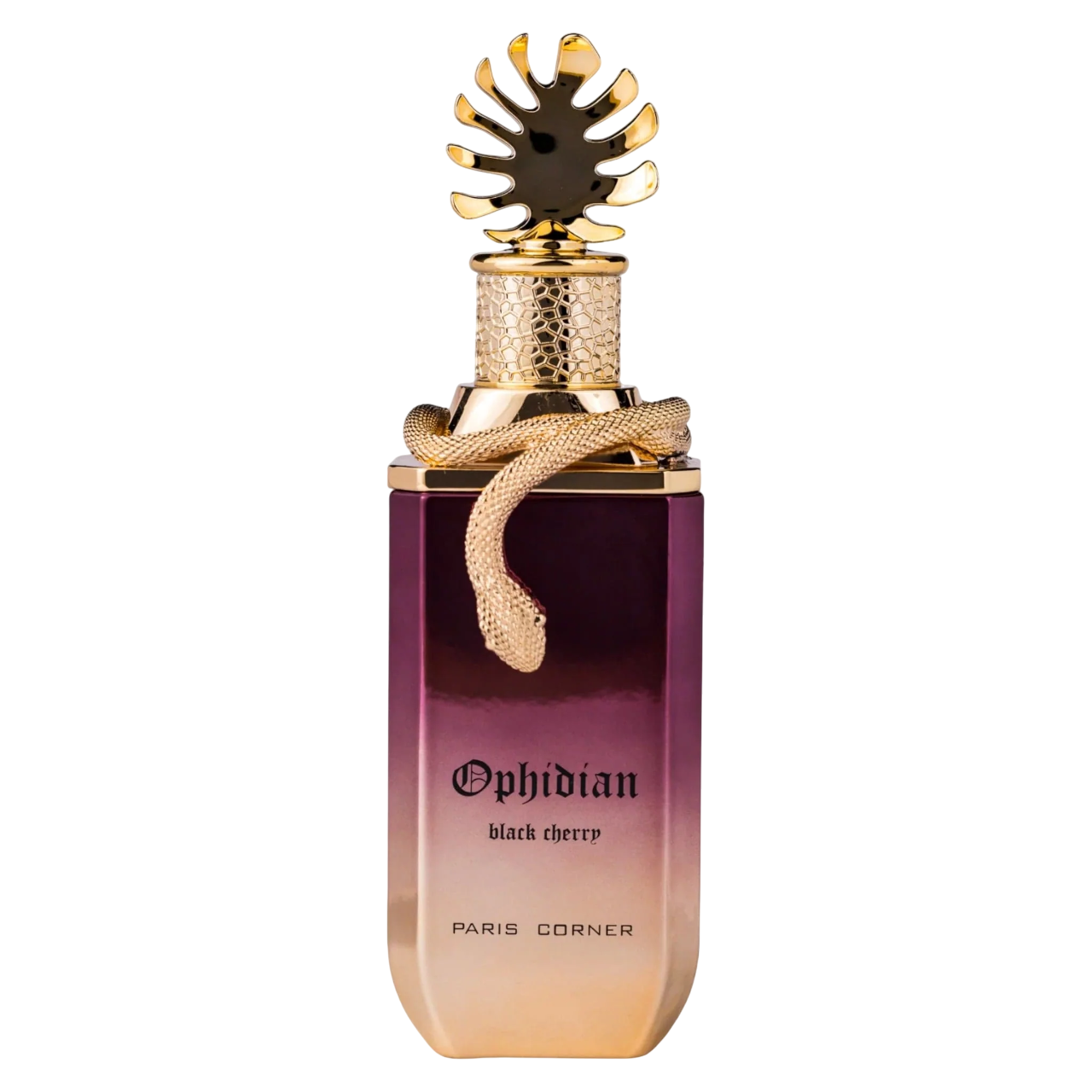 Paris Corner Ophidian Black Cherry EDP 100 ml