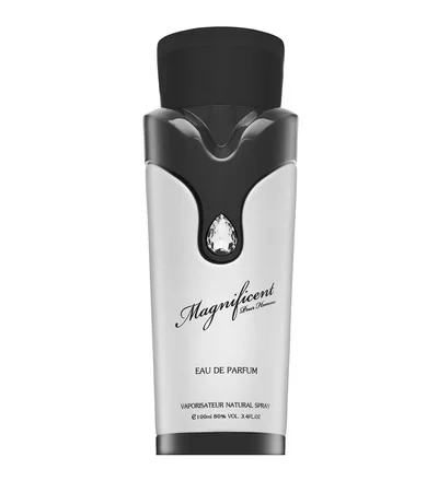Armaf Magnificent Pour Homme EDP 100 ml
