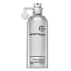 Montale Ginger Musk EDP 100 ml