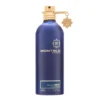 Montale Aoud Ambre EDP 100 ml Tester