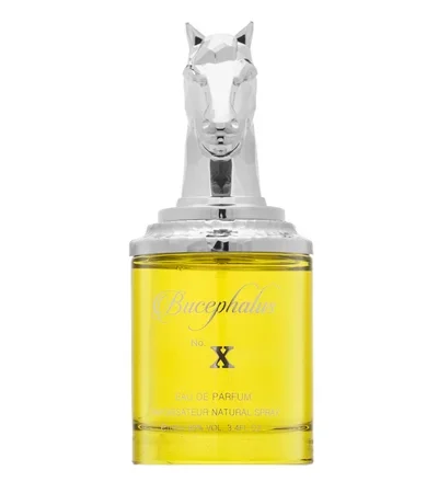Armaf Bucephalus No. X EDP 100 ml kvepalų buteliukas