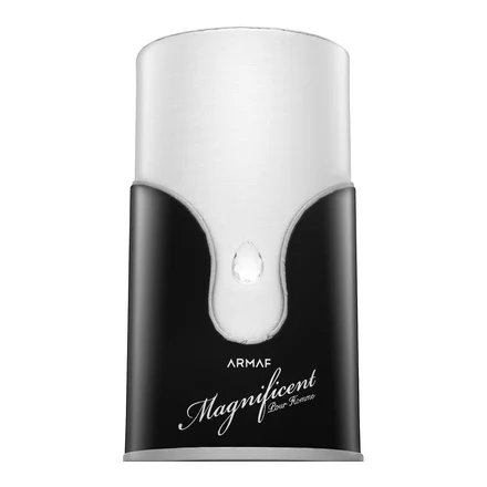 Armaf Magnificent Pour Homme EDP 100 ml - Pilt 2
